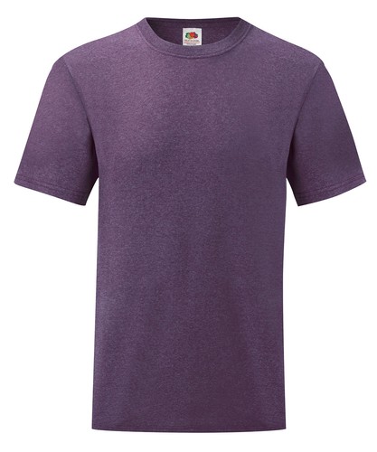 Fruit the loom - the, men's