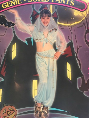 Belly dancer genie harem - genie,