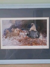 Simon Bull Limited Edition