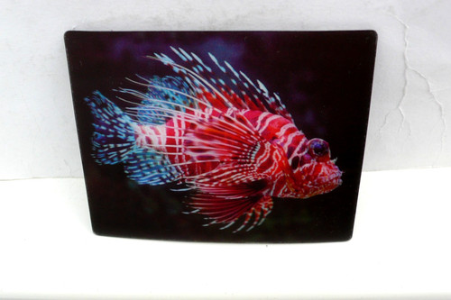 Firefish fish fridge - 3d,