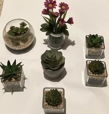 Set Of 7 Glass Garden