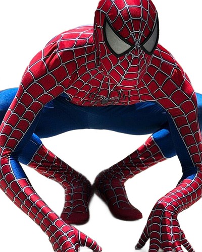 Classic spiderman costume - classic,
