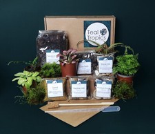 Terrarium substrate kit - kit,