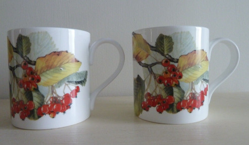 Pair bristol china company - pair,