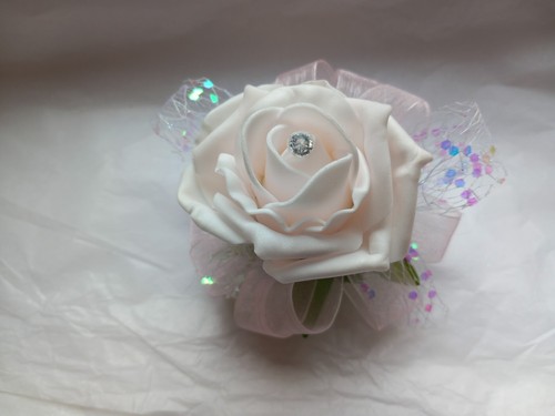 Prom wedding light - prom, pale