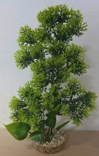 (4) Pets At Home Wild Moss