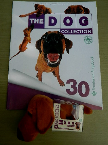 Genuine the dog - genuine,