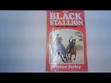 The Black Stallion and the