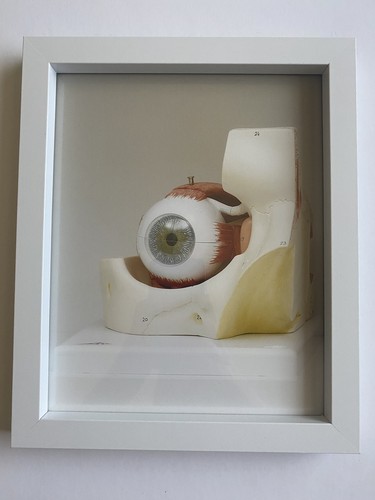Damien hirst unsigned - hirst, print