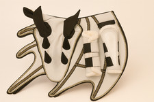 Dragon Saddle Pad Set with Ear