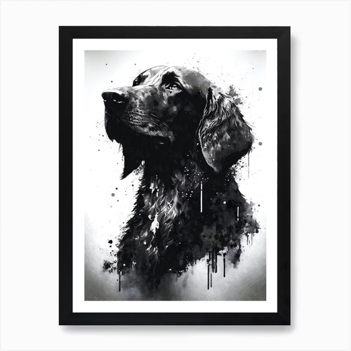 Flat coated retriever - flat-coated,