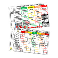 Modified Bishop Score and MEOWS ID Badge Flash Card Student Midwives Nurses