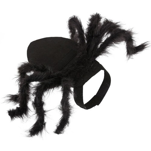 Viral halloween dog cat - halloween,