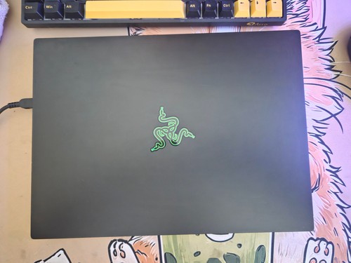 Razer blade ryzen 8945hs - razer,