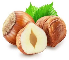 5 EUROPEAN HAZELNUT TREE aka