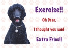 Funny BLACK POODLE Dog Vinyl Car Van Decal Sticker Pet Animal Lover 