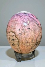 Authentic Ostrich Egg