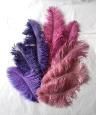 Prime Ostrich Plumes x 8 in