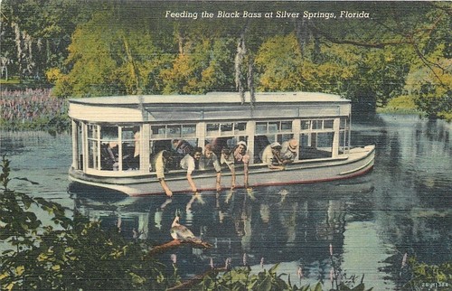 Silver springs florida - silver,