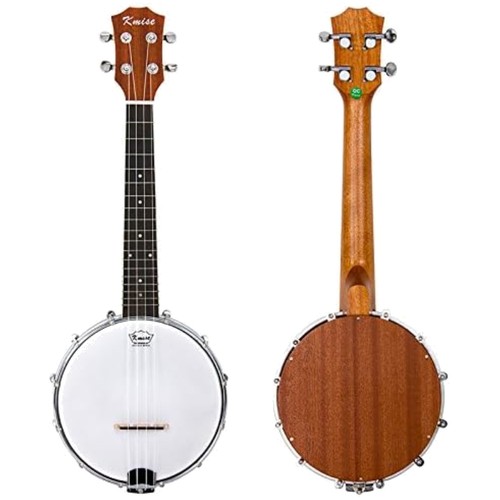 Professional string banjo - professional,