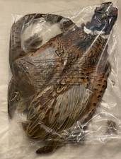 Cock Ringneck Pheasant Skin