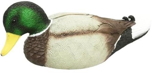 Premium waterfowl duck - waterfowl, &