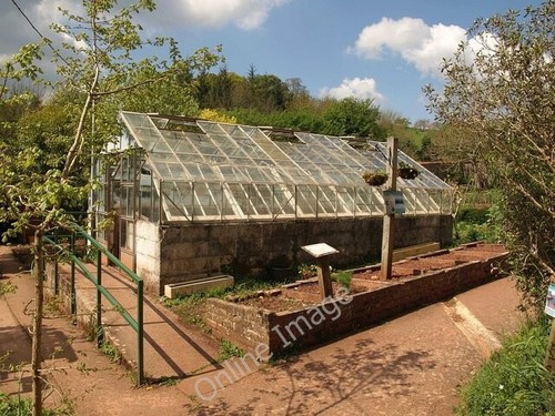 Photo 6x4 greenhouse - photo,