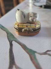 Vintage Limoges France Fini