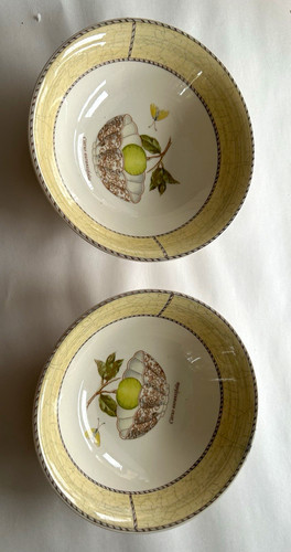 Wedgwood sarah garden citrus - wedgwood,