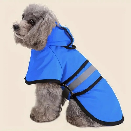 Rain coat pet - pet,