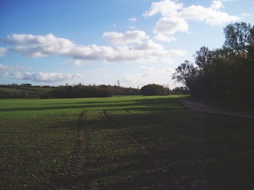 Photo 6x4 flood - 6x4, plain