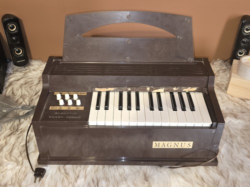 Magnus electric chord - magnus,