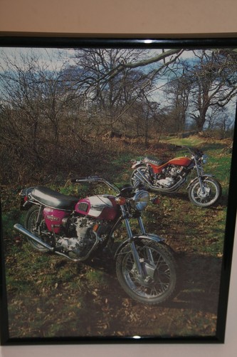 Triumph trident motorcycle - trident,
