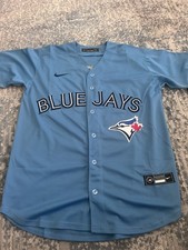 Vladimir Guerrero Jr. Adult