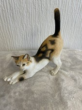 country artists Tortoise Shell