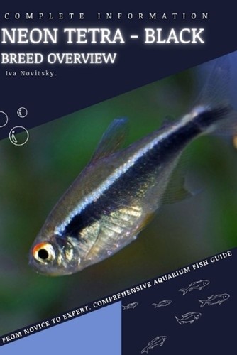 Neon tetra black from - -, black: