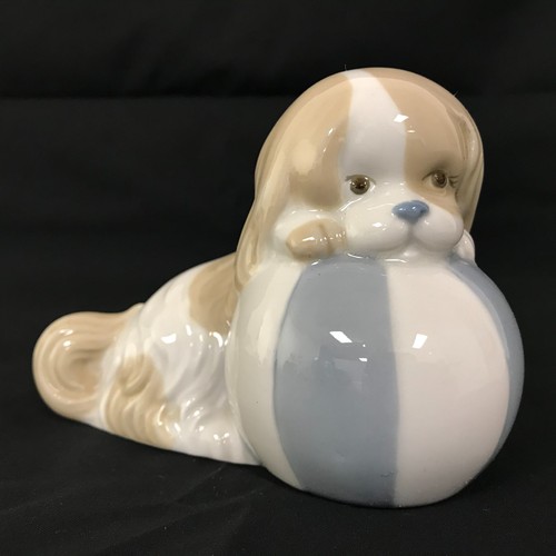 Miquel requena porcelain - miquel,