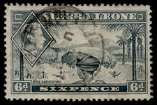 SIERRA LEONE GVI SG195, 6d grey, FINE USED.