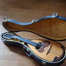 mandolin