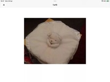 Soft touch white teddy bear