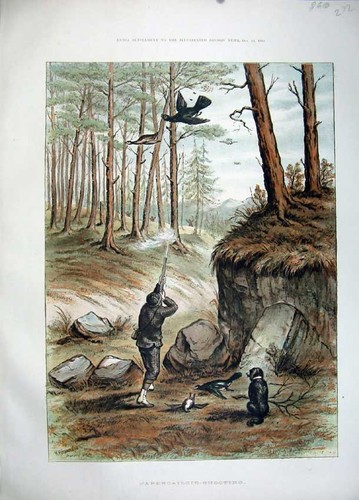 Old antique print 1883 - antique,
