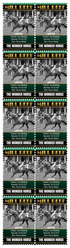 Mill reef horse racing - reef,