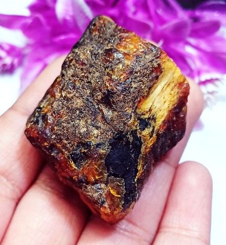 Uncut natural amber real - amber, rough