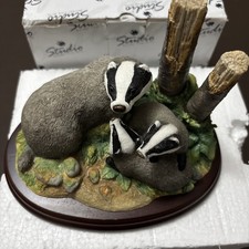 Studio Border Fine Arts Badger