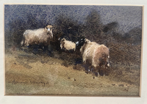 Brian irving signed original - irving, 3