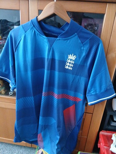 Castore ecb england cricket - castore,