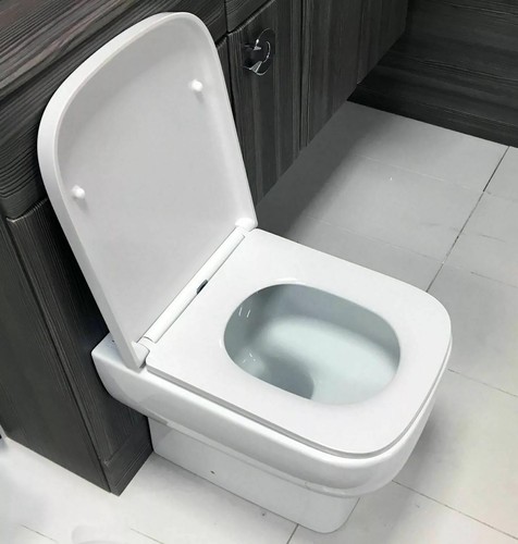Luxury shape toilet - toilet, seat