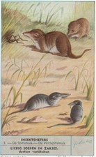 Liebig 6 Cards V/G:  S1645