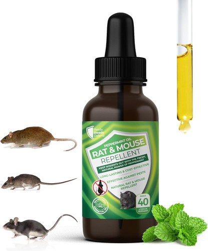 Peppermint mouse rat - &,