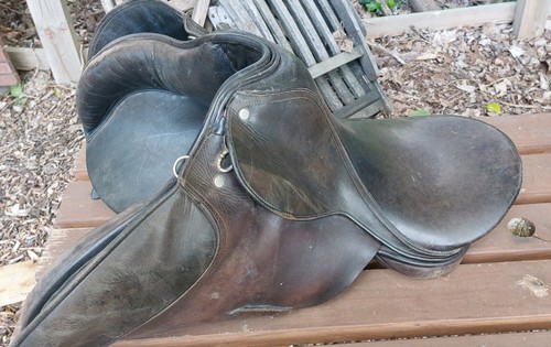 Falcon hawk saddle for - falcon,